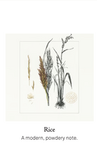 將圖片載入圖庫檢視器 32 Venenum 浮生解鑰
