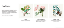將圖片載入圖庫檢視器 9 Arcana Rosa 神秘玫瑰
