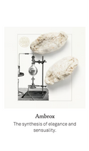 將圖片載入圖庫檢視器 60 Mirabilis 情迷紫茉莉
