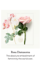 將圖片載入圖庫檢視器 9 Arcana Rosa 神秘玫瑰
