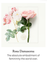 將圖片載入圖庫檢視器 Mémoire de Roses 玫瑰追憶
